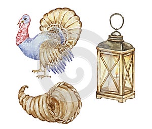 Thanksgiving watercolor elements, cornucopia, turkey and lantern