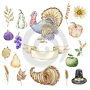 Thanksgiving watercolor elements, cornucopia, turkey and pumpkins