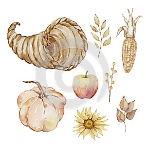 Thanksgiving watercolor elements, pumpkins, corn, fruits and cornucopia