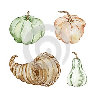 Thanksgiving watercolor elements, pumpkins and cornucopia