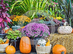 Thansgiving produce display