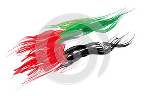 United Arab Emirates UAE flag photo