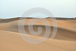 Thar desert