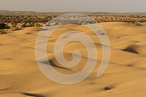 Thar desert in India
