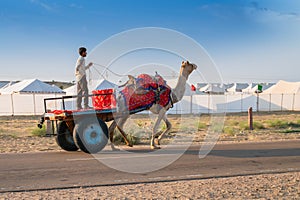 Camel owner riding camel, Camelus dromedarius, for tourists at sand dunes of