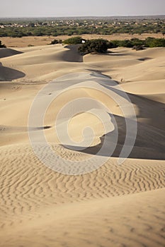 Thar Desert, a vast desert in Rajasthan, famous for its golden sand dunes