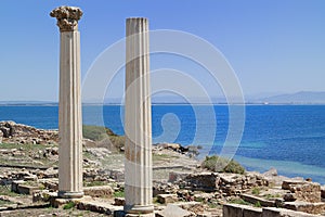 Tharros photo