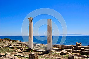 Tharros Columns photo