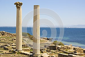 Tharros Ruins photo