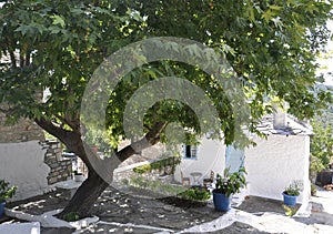 Thassos, August 23th: Traditional house courtyard in Theologos Village from Thassos island in Greece