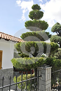 Thassos, August 23th: Traditional House Garden in Theologos Village from Thassos island in Greece