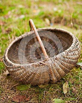 Thatch basket