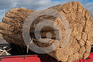 Thatch imported from Eastern Europe stacked on a pickup truck in Devon