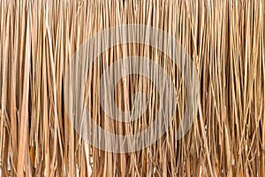 Thatch roof background, hay or dry grass background