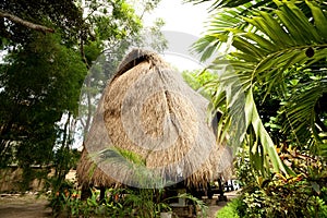 Thatch roof bungalow at tropical resort