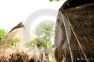 Thatch roof bungalow at tropical resort