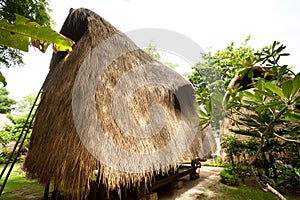 Thatch roof bungalow at tropical resort