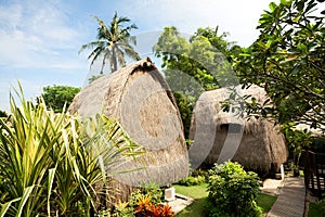 Thatch roof bungalow at tropical resort