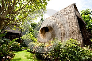 Thatch roof bungalow at tropical resort