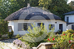 Thatch roof cottage in the picturesque village