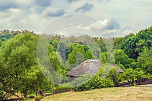 Thatch Ukrainian hut on the edge of the forest