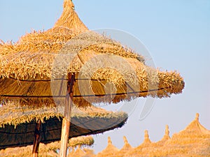 Thatch umbrellas, Hammamet, Tunisia