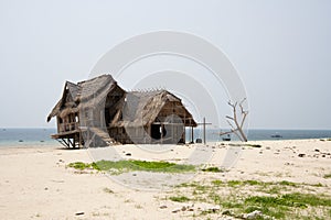 Thatched beach hut