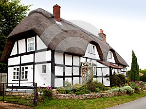 Thatched cottage