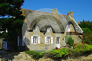 Thatched cottage