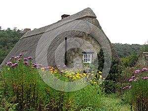 Thatched cottage