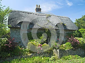 Thatched cottage