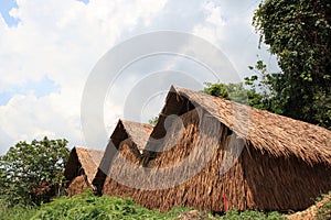 Thatched Cottage