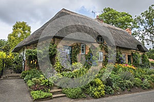 Thatched cottage