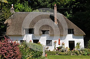 Thatched cottage