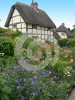 Thatched cottage