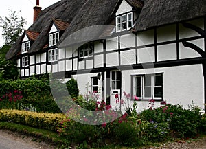 Thatched cottage