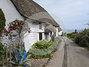 A thatched cottage at the coast in Church Cove, Cornwall, England