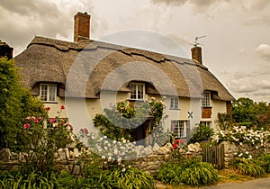 A thatched cottage in the dorset countryside, UK.