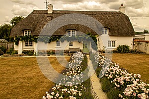 A thatched cottage in the dorset countryside, UK.