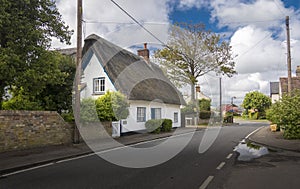 Thatched Cottage in an English Village