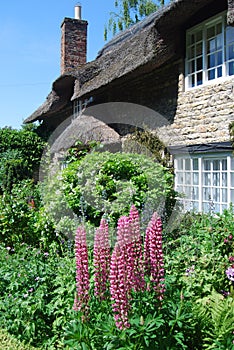 Thatched cottage garden
