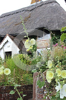 Thatched Cottage in Rural England in Summer.