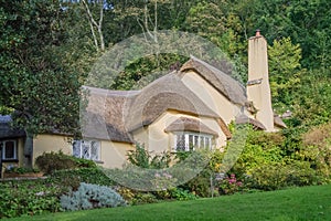 A thatched cottage in woodland in the village of Selworthy