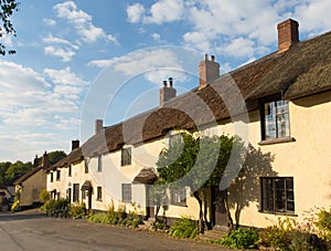 Thatched cottages in Broadhembury village East Devon England uk in the Blackdown Hills