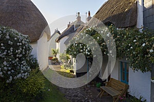 Thatched cottages at Inner Hope, Hope Cove, Devon, England