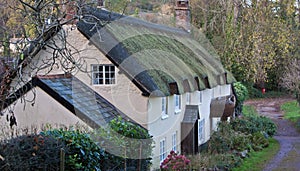 Thatched cottages in Somerset UK