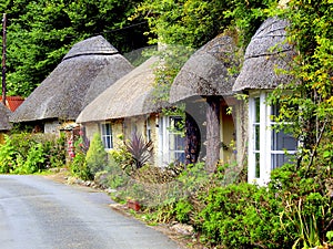 Thatched cottages, South Devon.