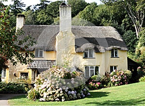 Thatched English Cottage