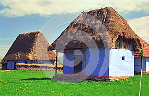 Thatched houses