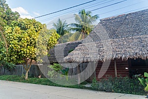 Thatched houses in Rurrenabaque town, Boliv photo